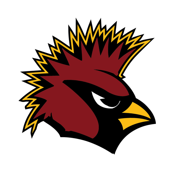 Arizona Cardinals Heavy Metal Logo iron on transfers